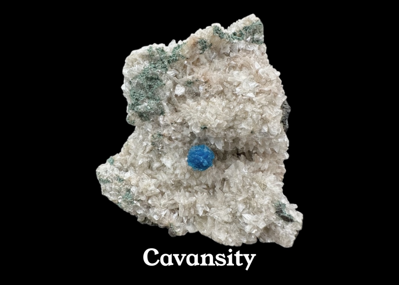 Cavansity